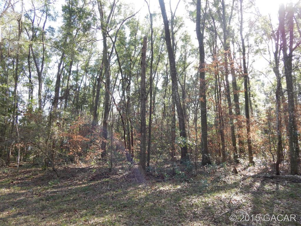 Santa Fe River Plantations - Land