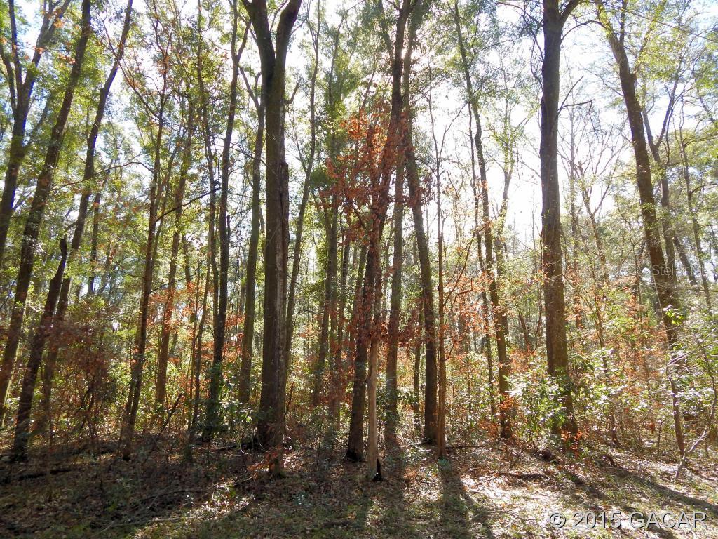 Santa Fe River Plantations - Land