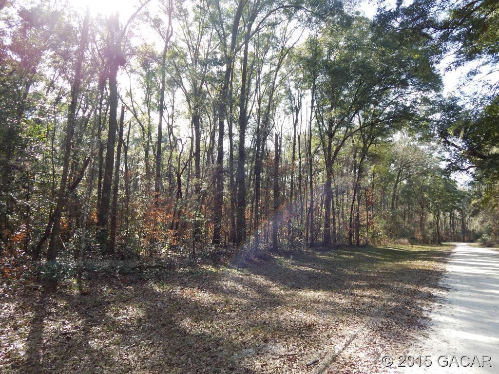 Santa Fe River Plantations - Land