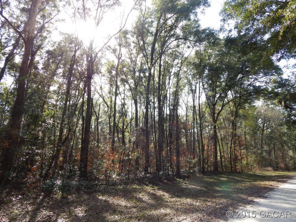 Santa Fe River Plantations - Land