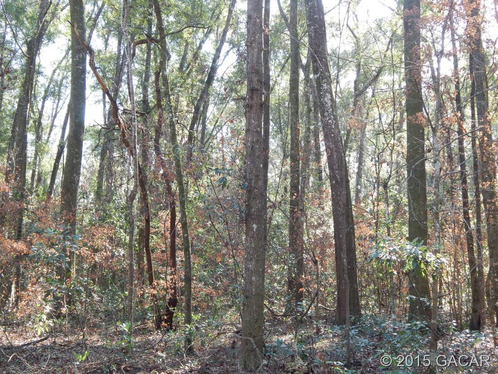 Santa Fe River Plantations - Land