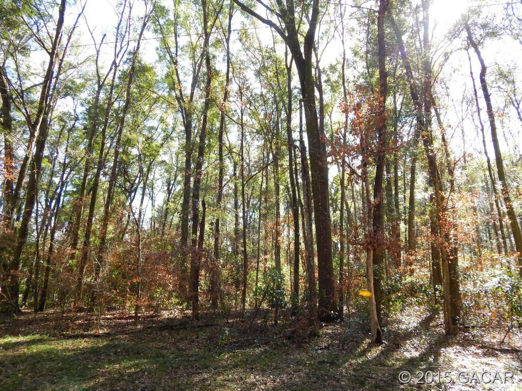 Santa Fe River Plantations - Land