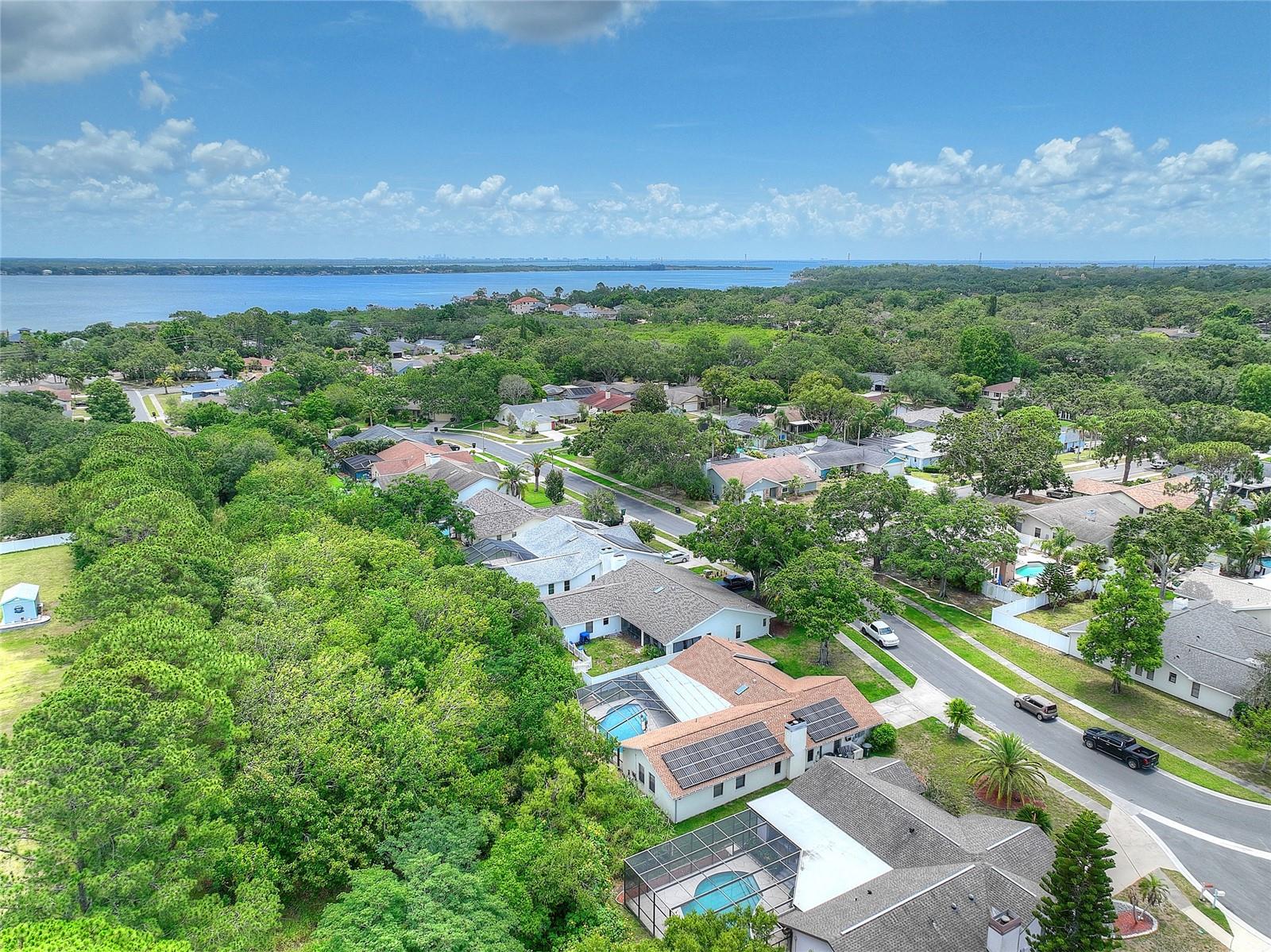 313 OAK CREST DRIVE