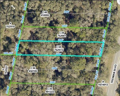 RIDGE MANOR ESTATE - Land