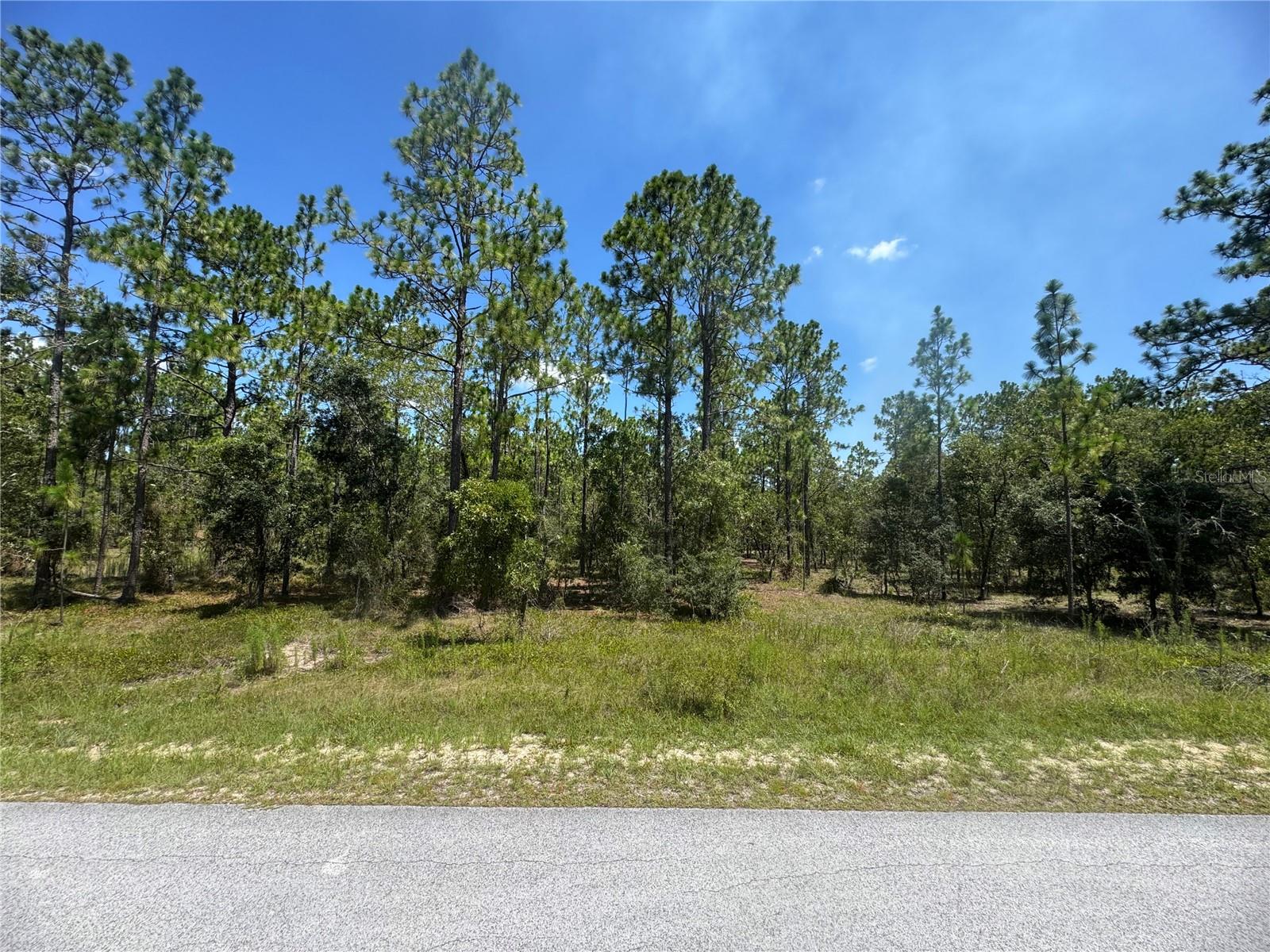 Perfect 1 ACRE to build your dream home or invest in Florida real estate. This parcel is the ideal place to create your own retreat while enjoying serenity, peace and nature. High and dry, this property offers plenty of room for your new home plus hobbies, gardens or even a pool. Paved road frontage with easy access to shopping, dining and plenty of recreational activities or outdoor adventures. Approximately 20 miles to the Gulf of Mexico and all it has to offer or Ocala, Florida - the horse capital of the world. Rainbow Springs is minutes away, three lakes within the Rainbow Lakes Estates subdivision plus many other lakes, rivers, nature preserves and parks are so close. *Zoned for site built homes only*. No HOA. Come begin living your own Florida dream today.