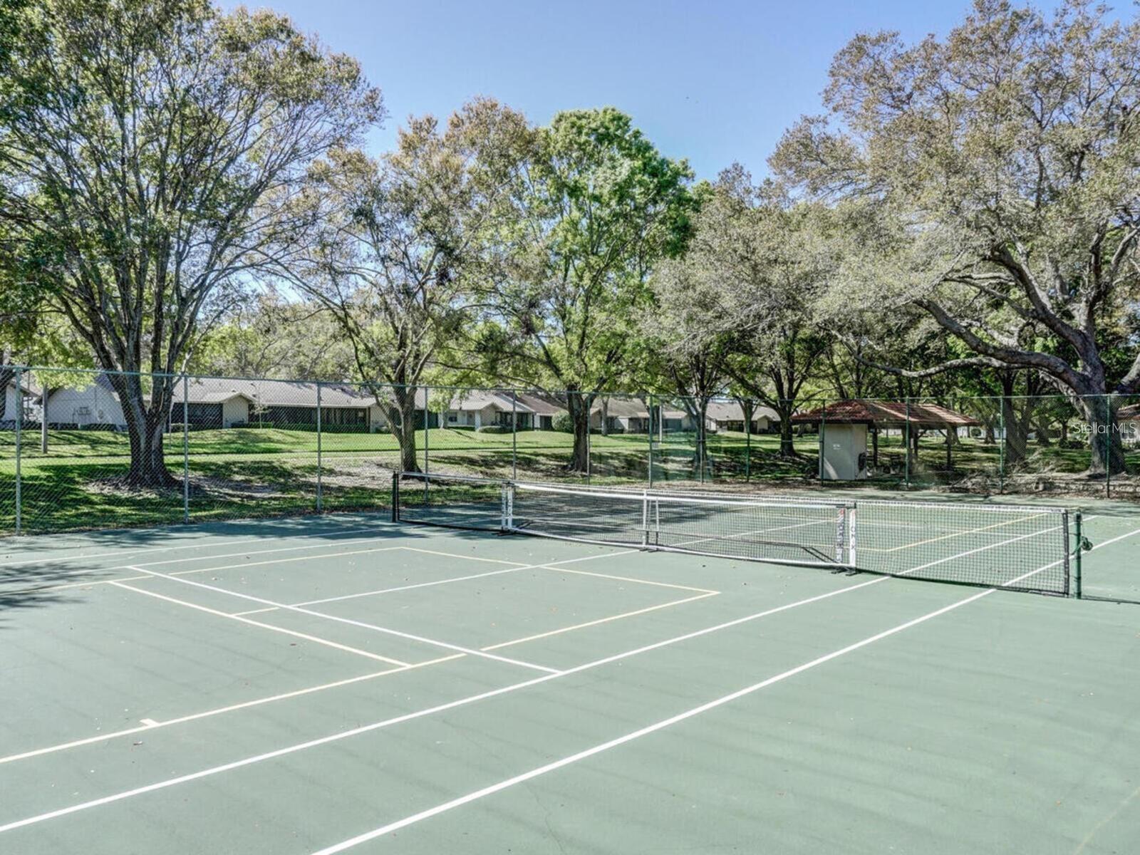 SCOTSDALE CLUSTER CONDO - Residential