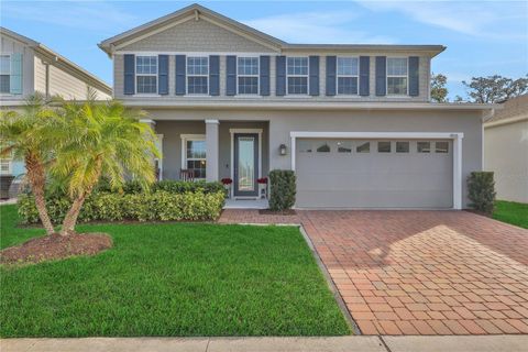 A home in MOUNT DORA