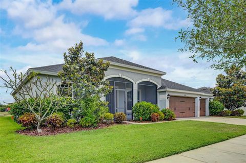 A home in RIVERVIEW