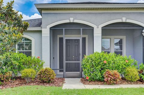 A home in RIVERVIEW