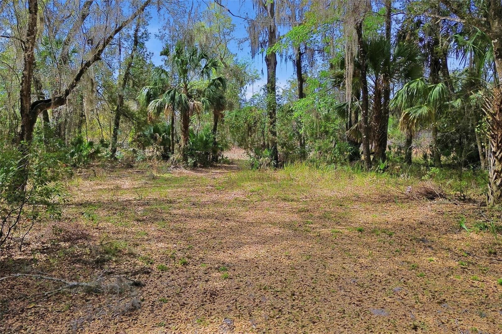 NORRIS SUB DUPONT & GAUDRY GRANT - Residential