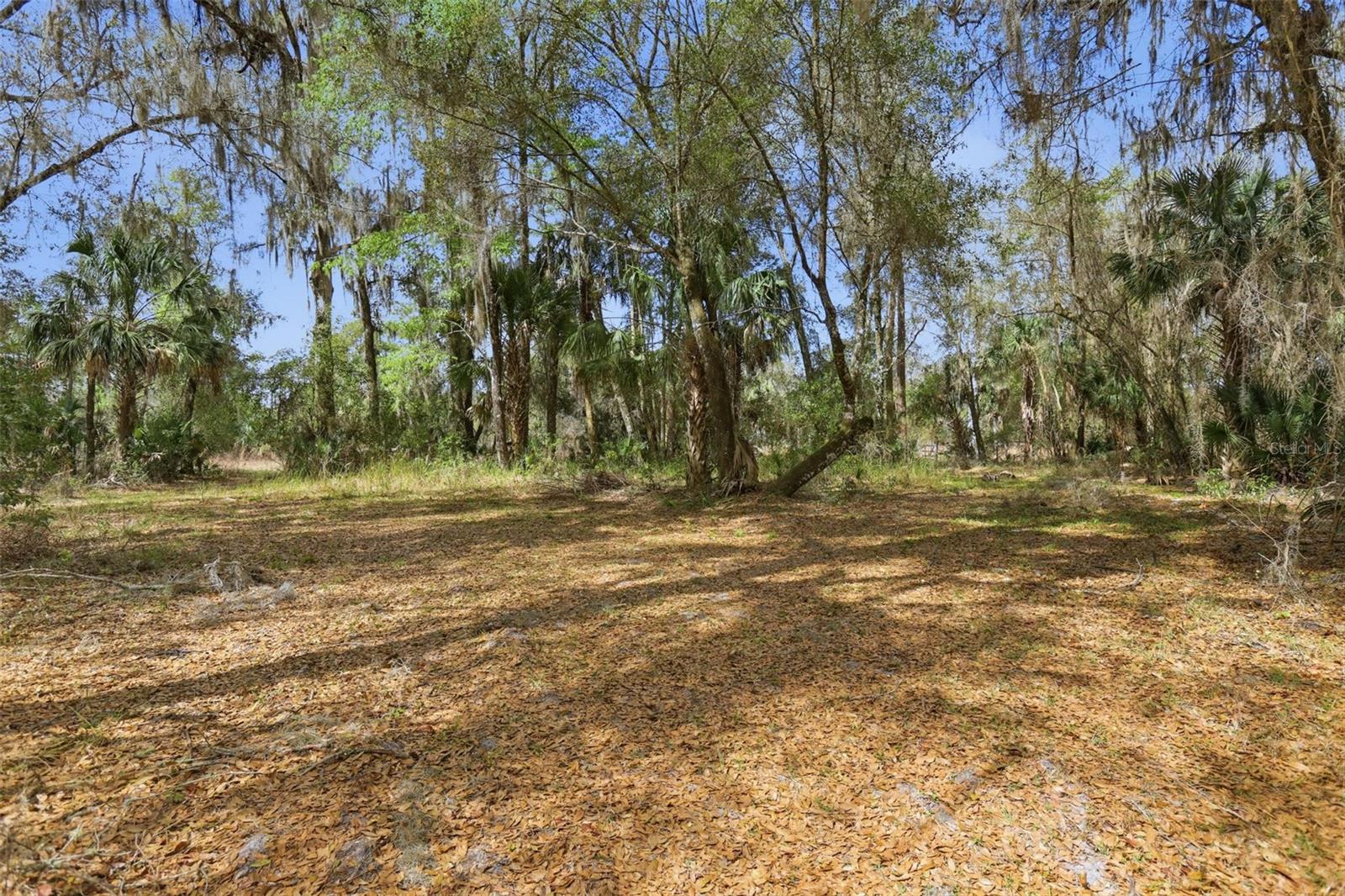 NORRIS SUB DUPONT & GAUDRY GRANT - Residential