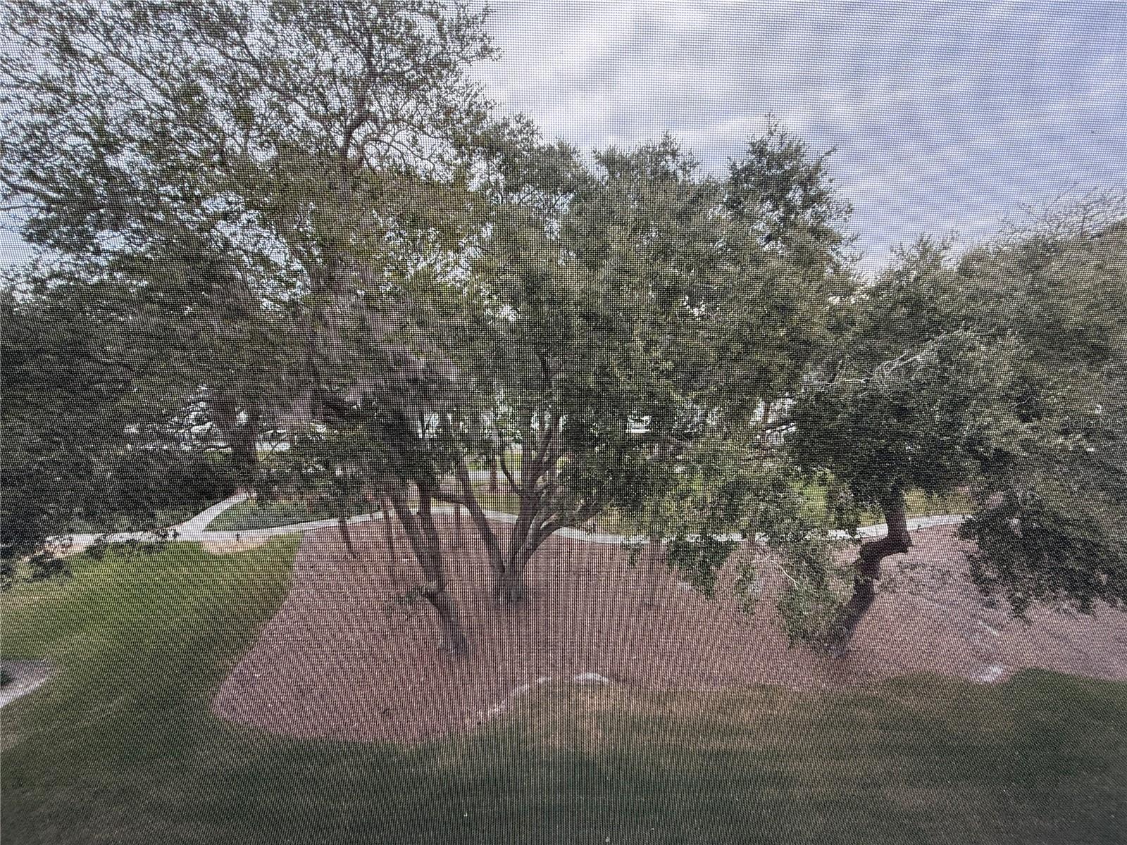 CANOPY WALK - Residential