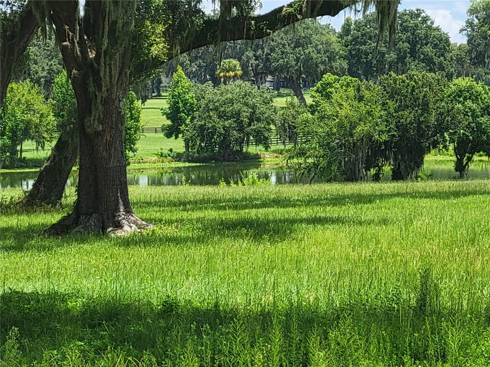 SILVERLEAF HILLS - Land
