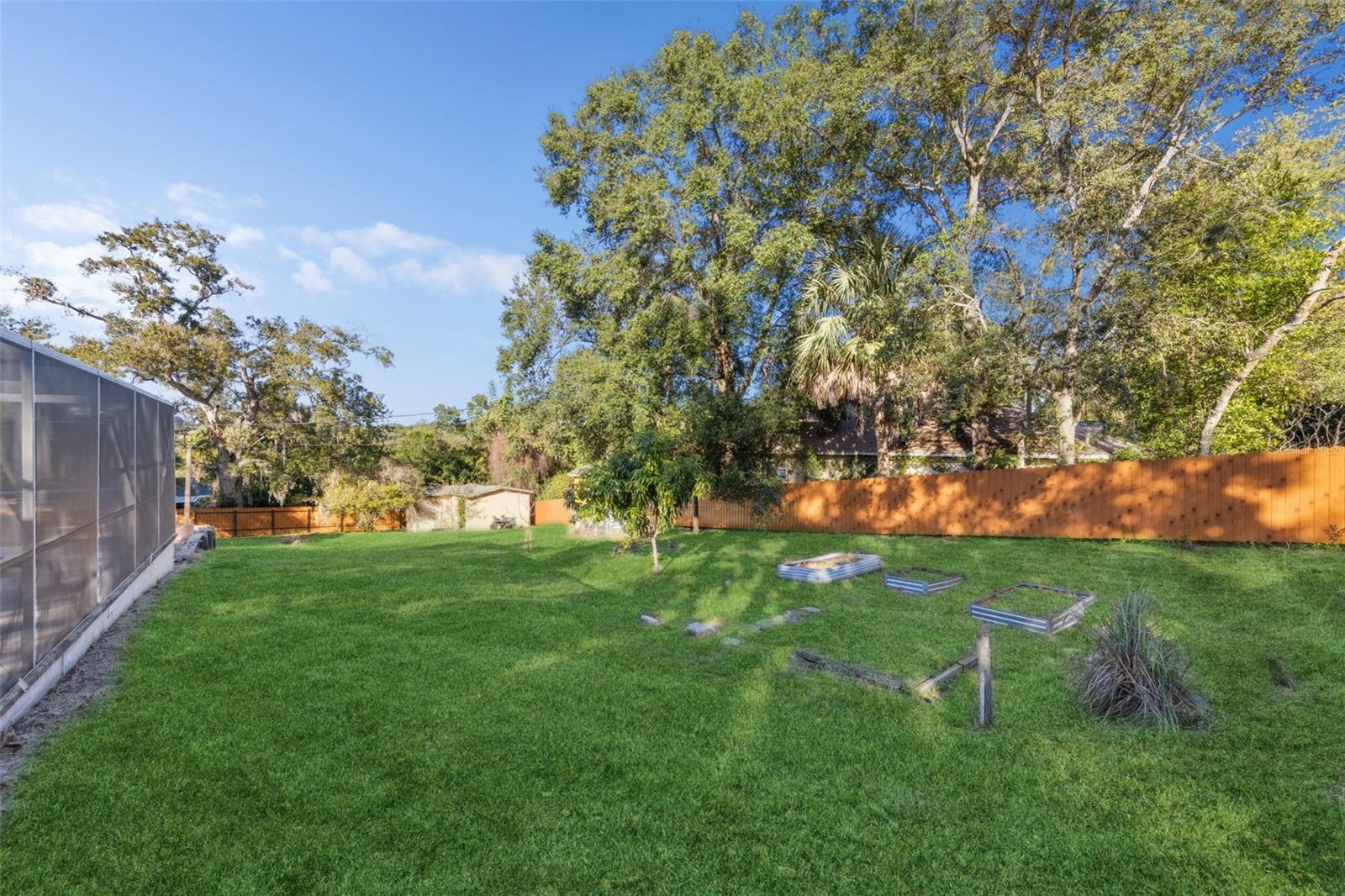 CLERMONT PINECREST - Residential