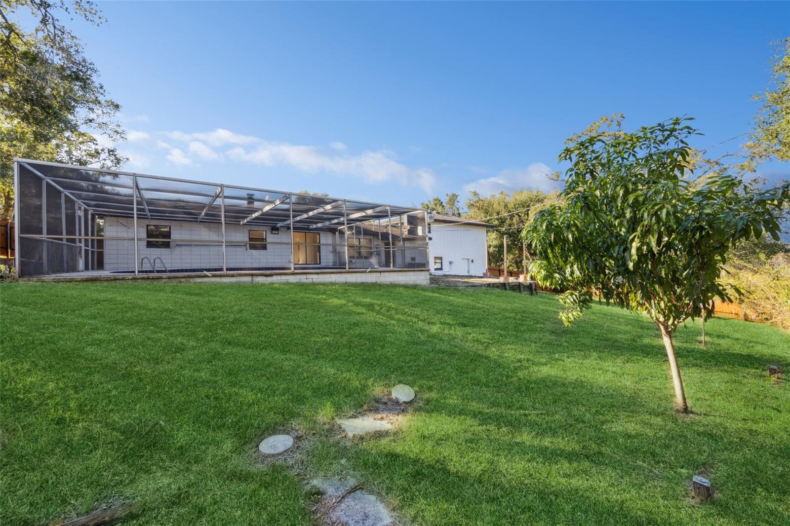 CLERMONT PINECREST - Residential