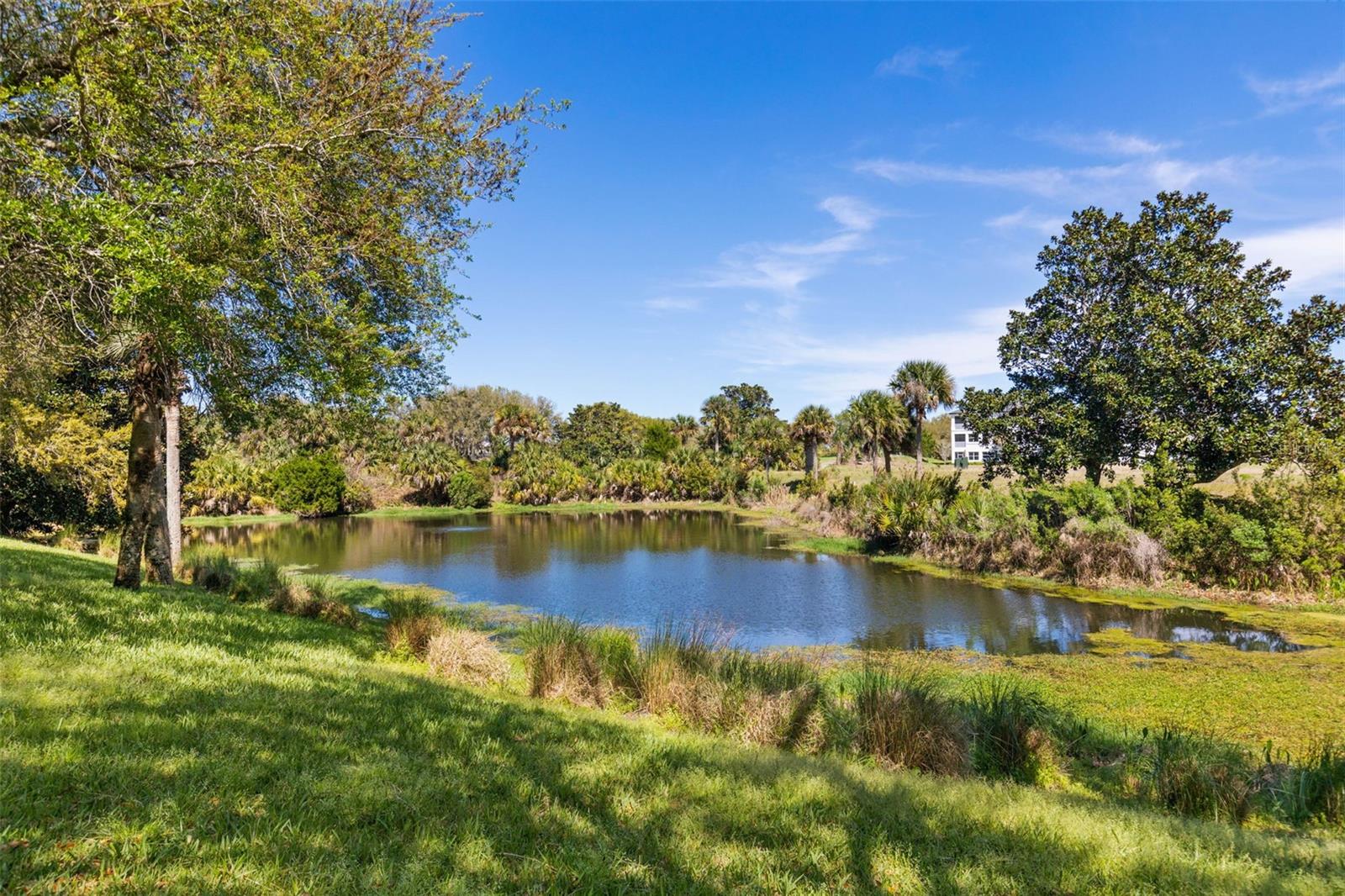 GRAND HAVEN - Residential