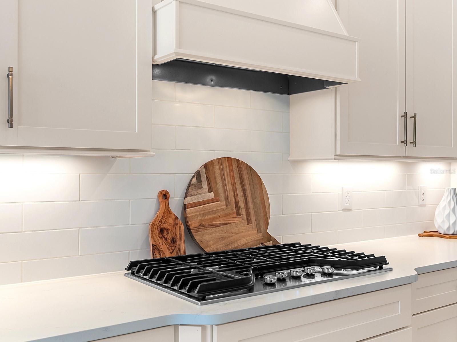 SHOREVIEW AT LAKEWOOD RANCH WATERSIDE - Residential