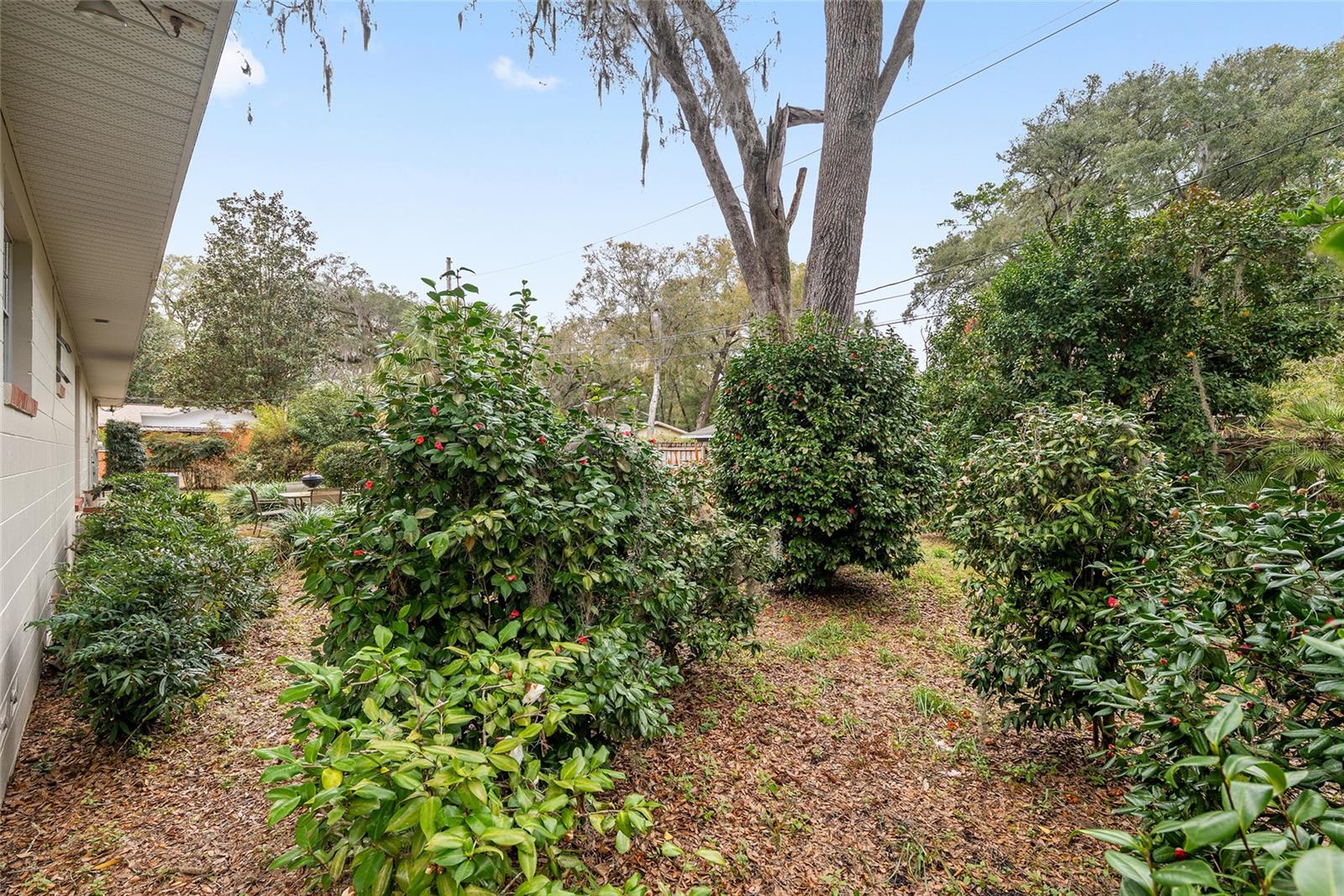 MADISON PARK - Residential