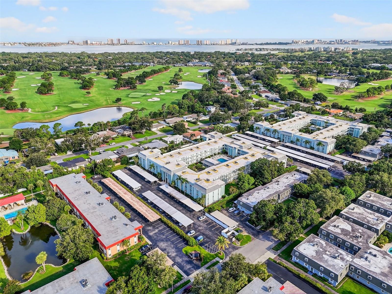 BELLEAIR FOREST - Residential