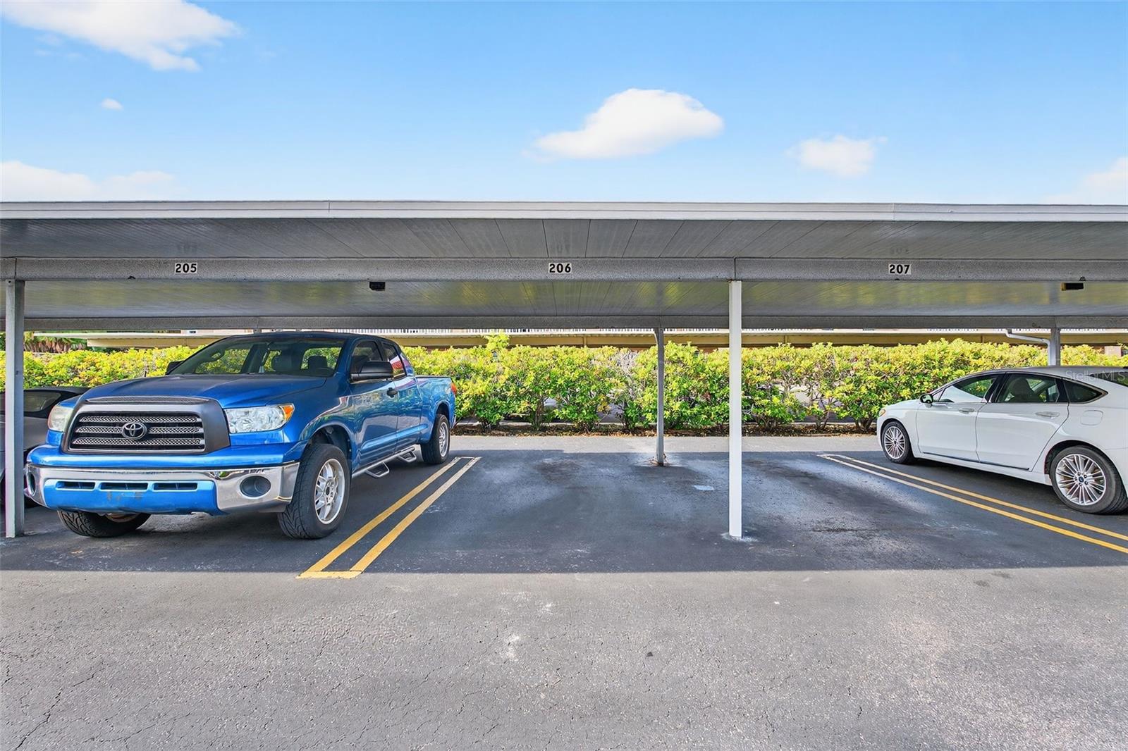 BELLEAIR FOREST - Residential