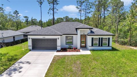 3520 W WEBSTER PLACE CITRUS SPRINGS FL 34433