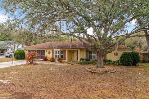Photo of 817 Berryhill Circle, Fruitland Park, FL 34731 (MLS # G5108351)
