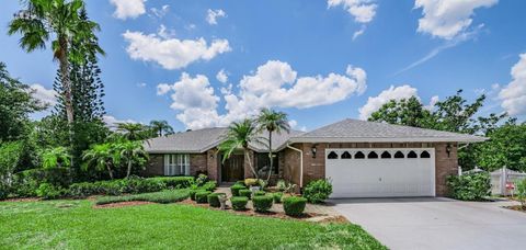Photo of 3817 Nicholas Court, Tarpon Springs, FL 34688 (MLS # O6410747)