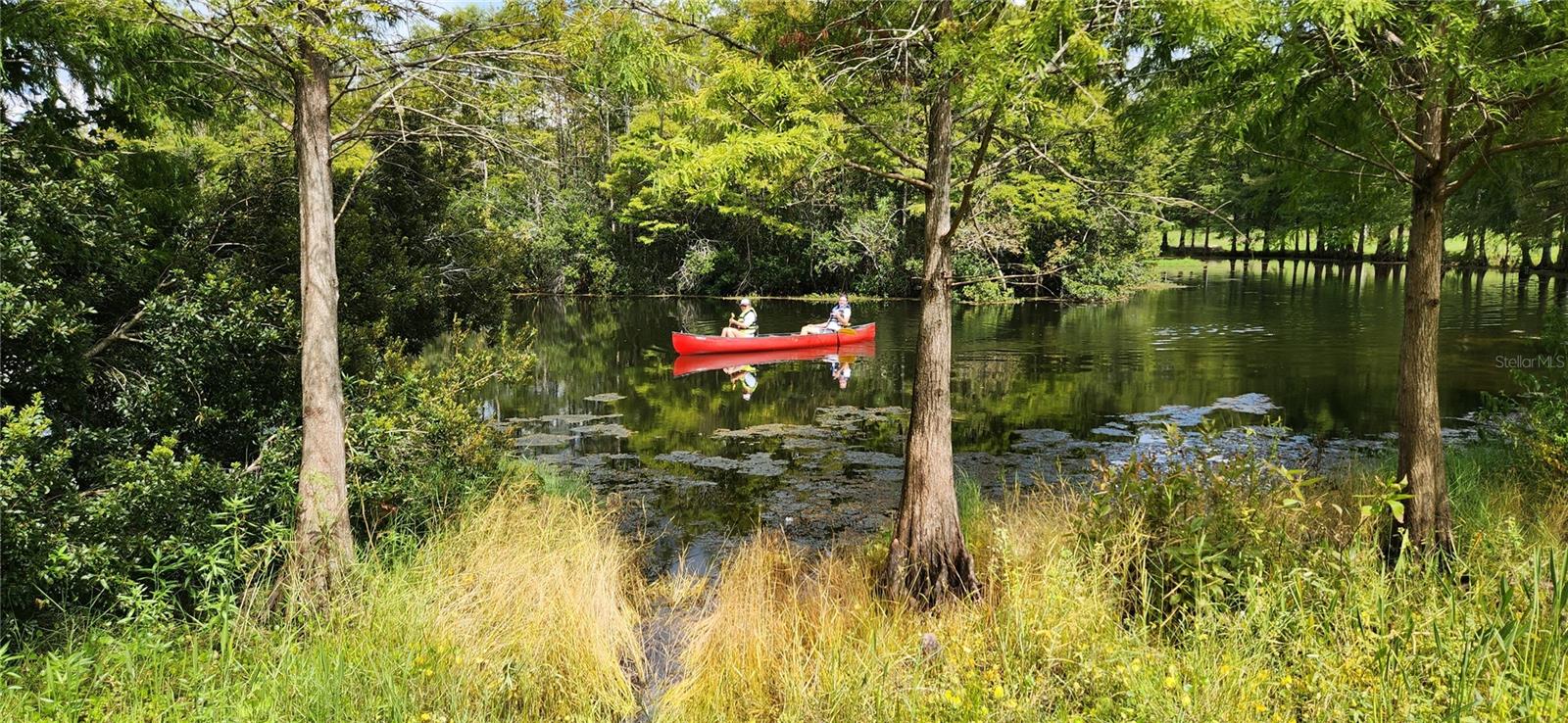 VILLAGES AT KINGSBRIDGE WEST TR C-1 - Residential