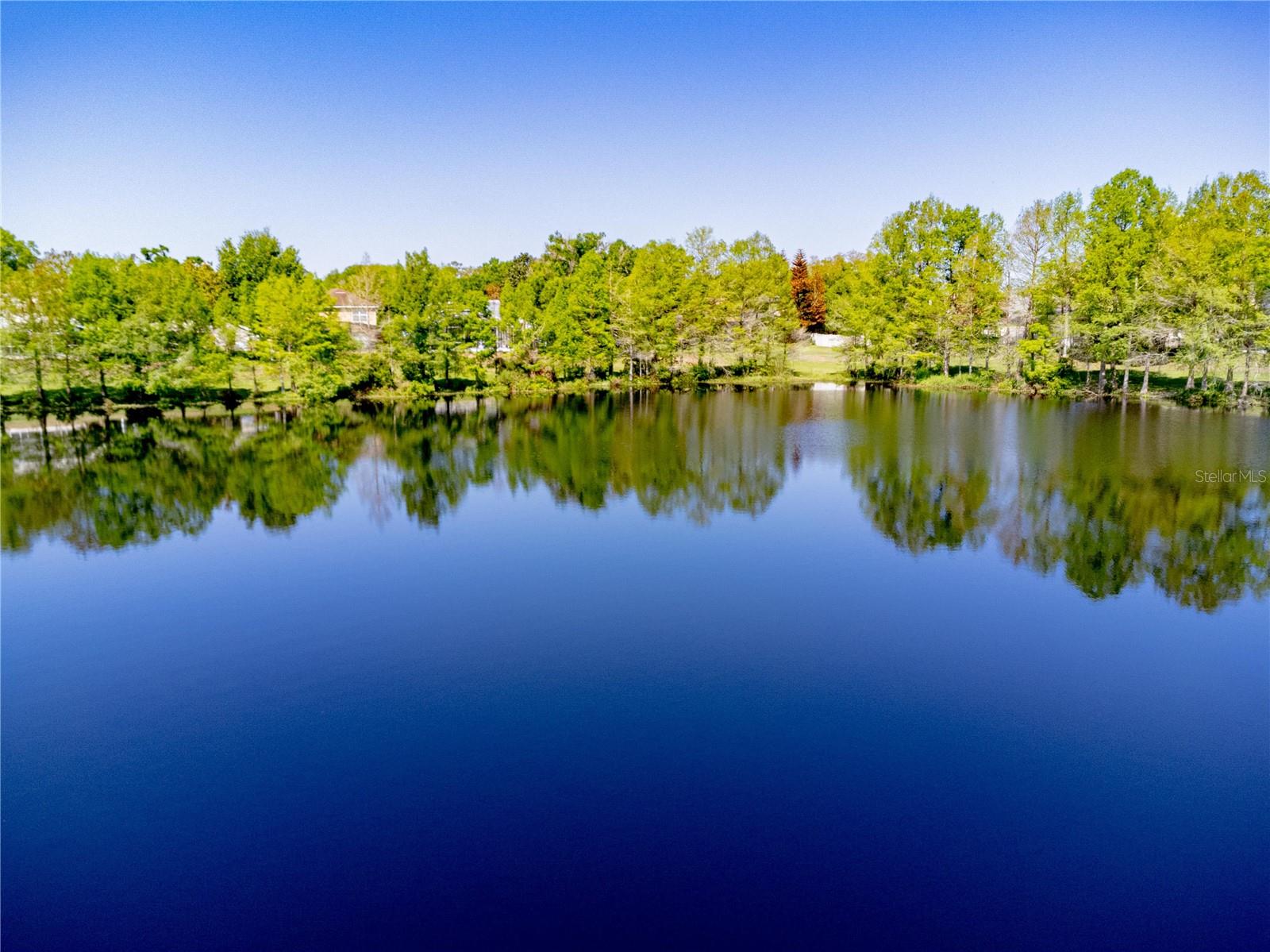 981 N LAKE CLAIRE CIRCLE