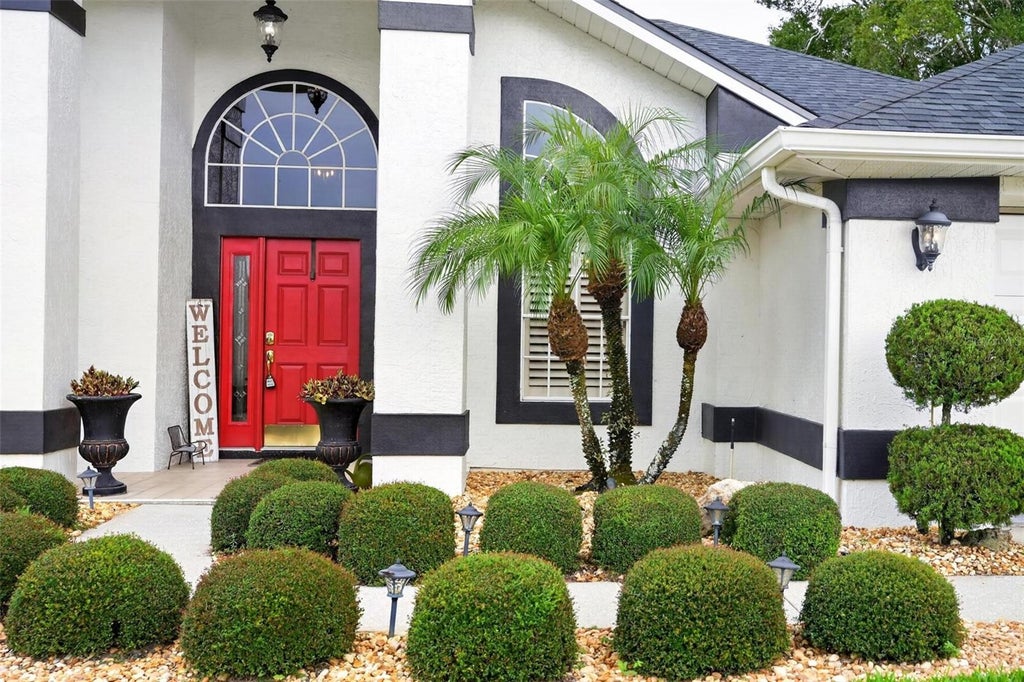 Photo of 919 Ridge Spring Court, Apopka, FL 32712 (MLS # O6443802)