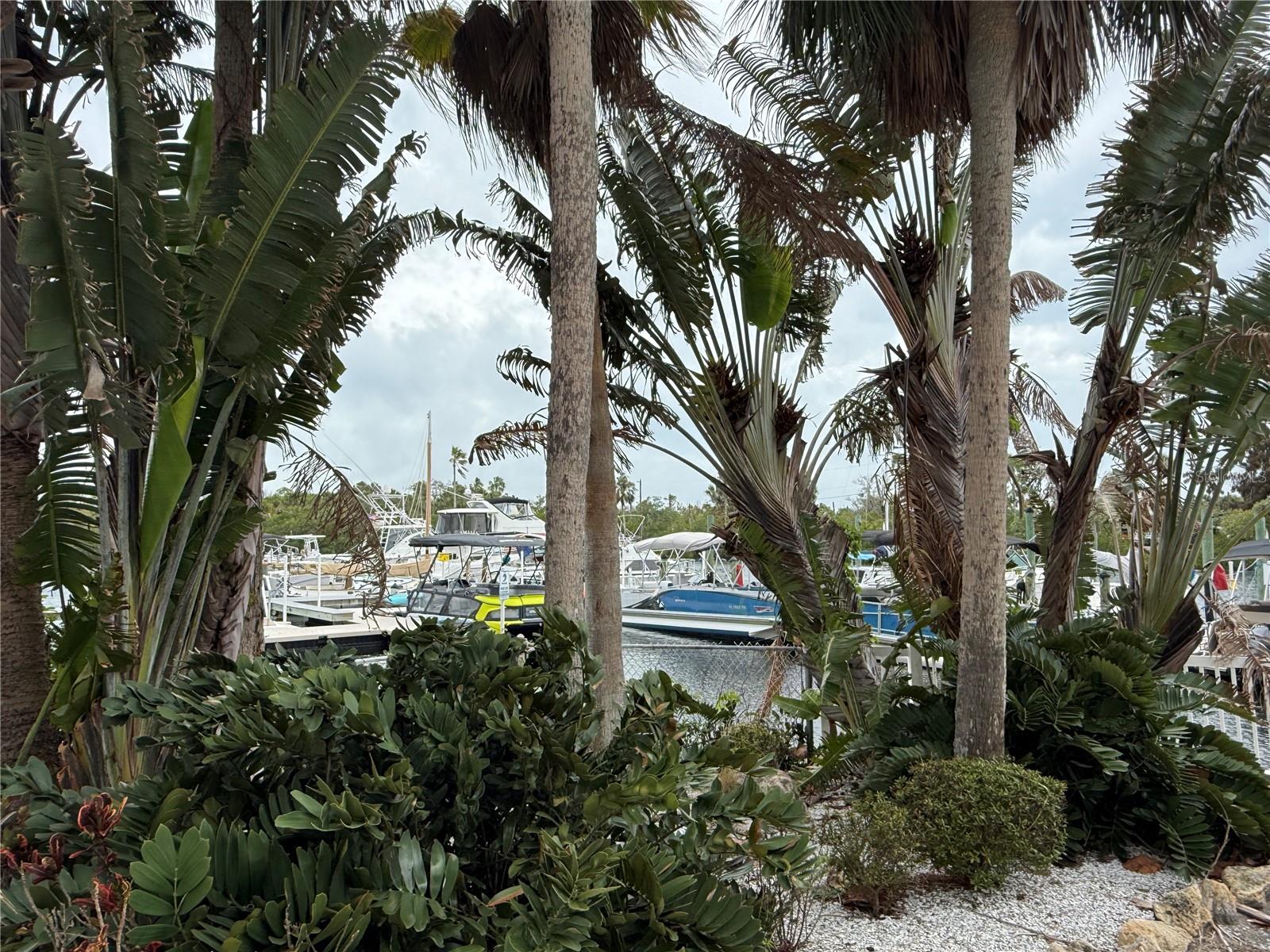 POINTE PLEASANT HARBOUR CONDO - Residential Lease