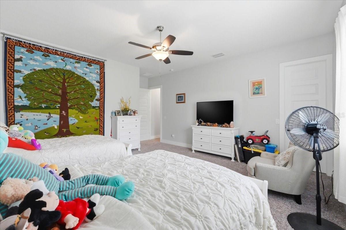 ESTATES AT CYPRESS TRACE - Residential