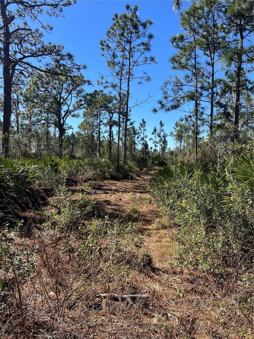 Don't miss out on your chance to own your piece of paradise! Located in Lake Wales, FL for $12,000!! Zoning: Agricultural Residential Rural, zoned for Residential/Manufactured/or mobile homes!!! Attractions nearby are Lake Wales History Museum, Bok Garden Towers, and Beautiful Lake Wales Park! Call today for more information! This lot is land-locked and there is no access to lot. Additionally the lot is about 50% wetlands but has buildable areas.