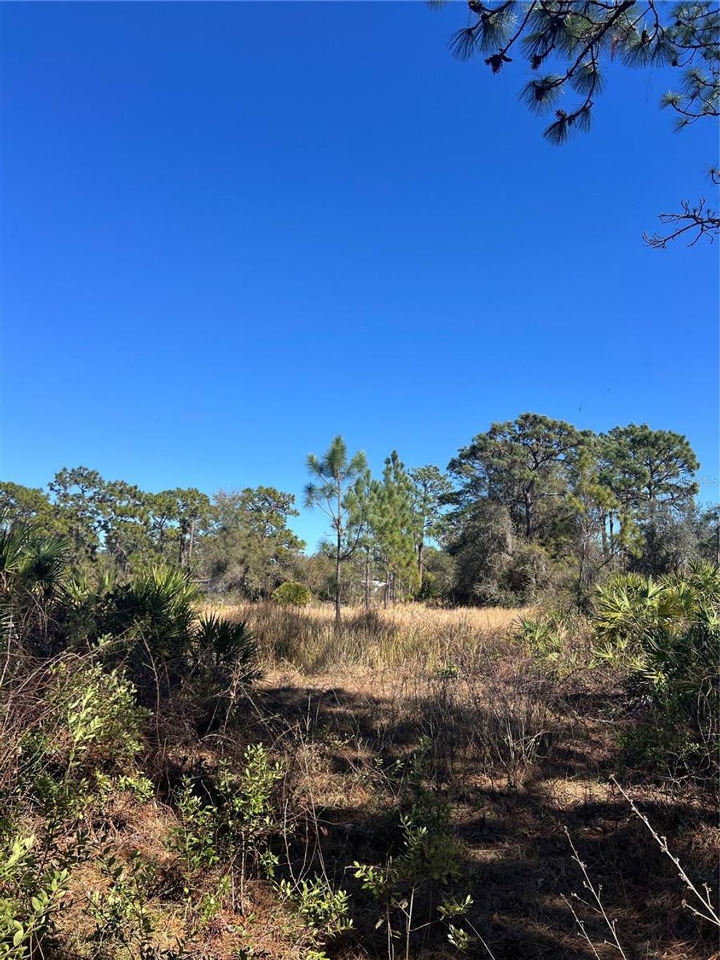 Photo of Shore Drive, Lake Wales, FL 33898 (MLS # O6122975)