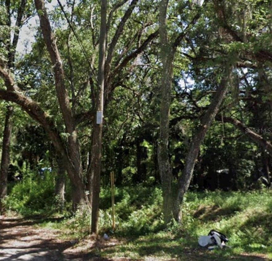 Wooded residential lot in Brooksville.