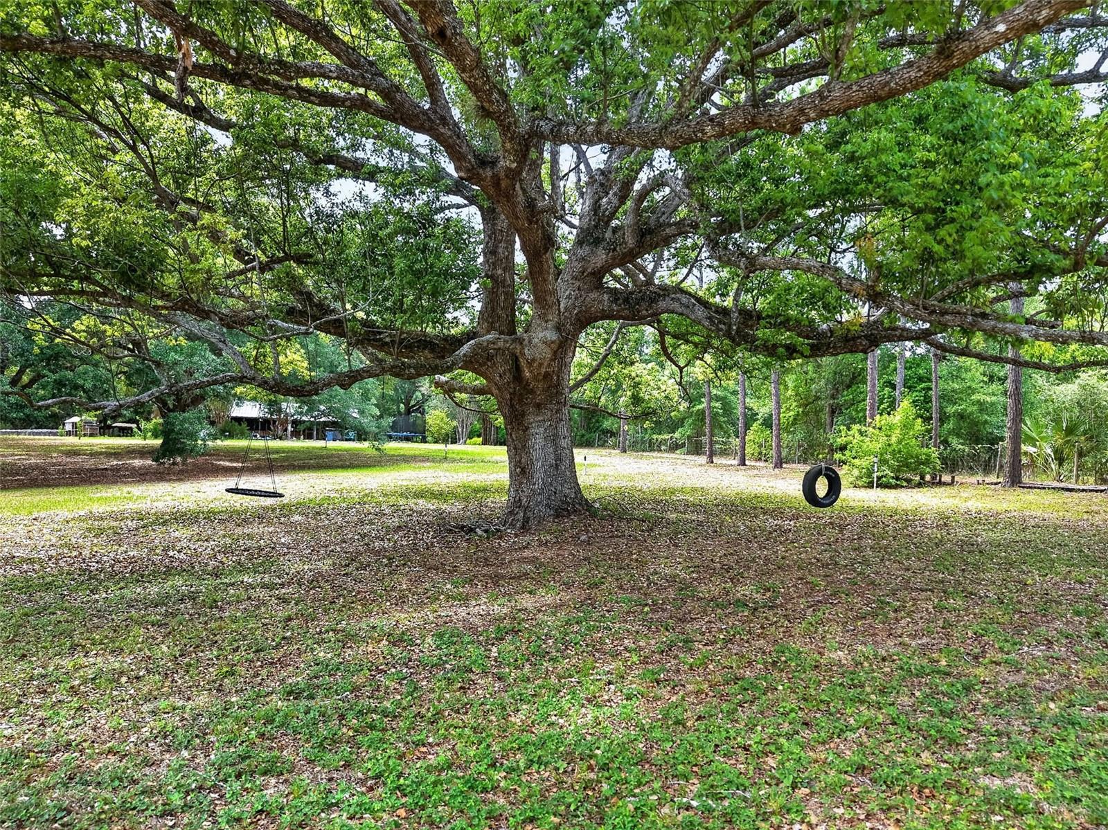 HIGLEY - Residential