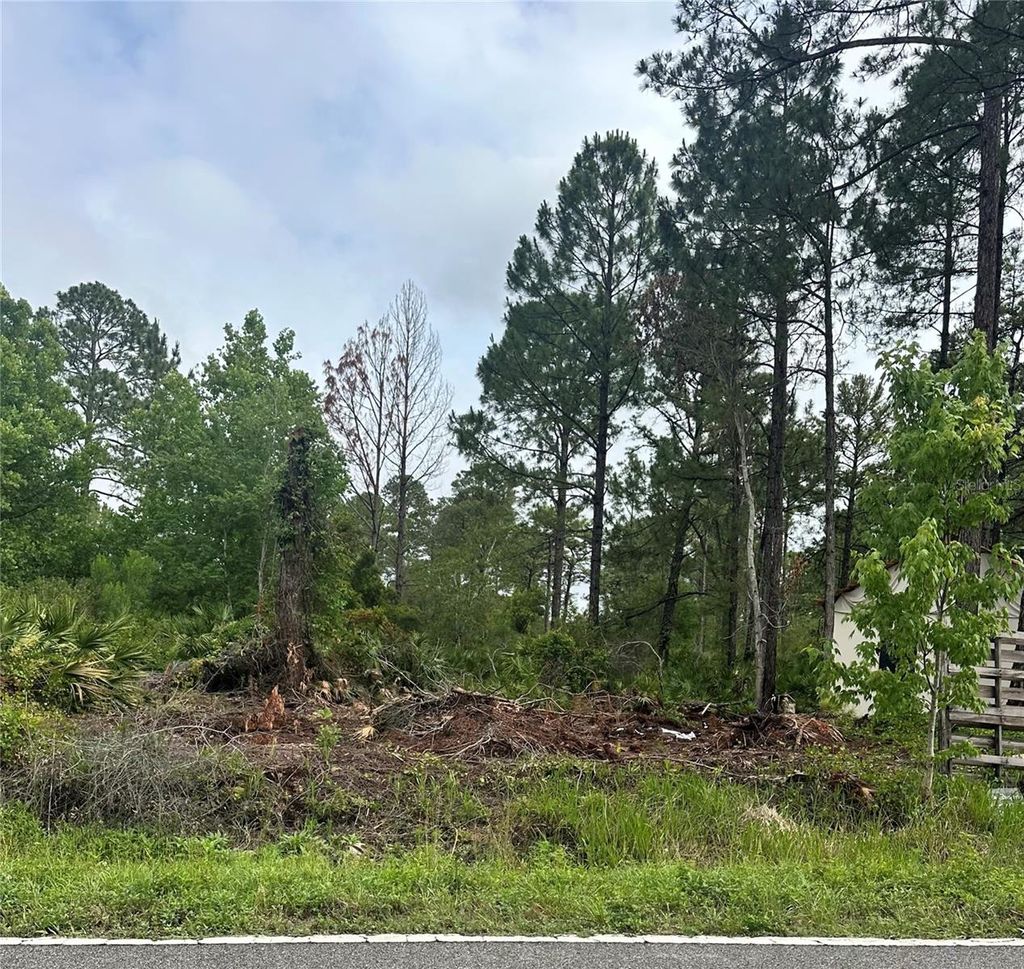 Photo of Reynolds Road, De Leon Springs, FL 32130 (MLS # V4947585)