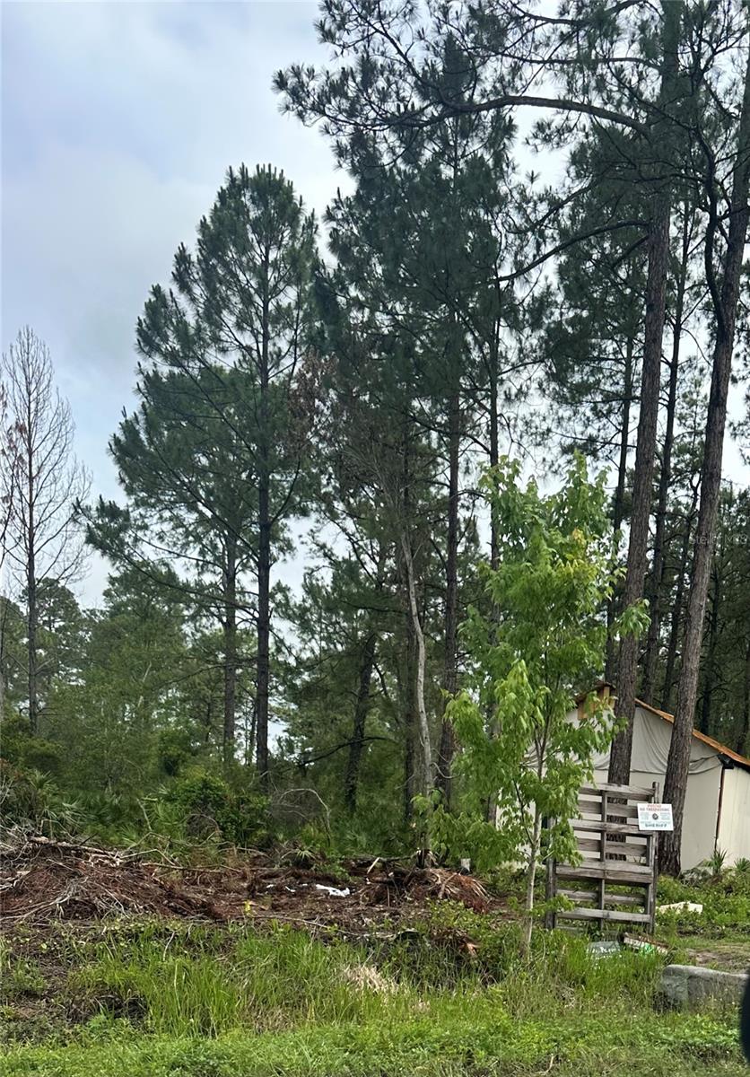 DELEON SPGS HEIGHTS - Land