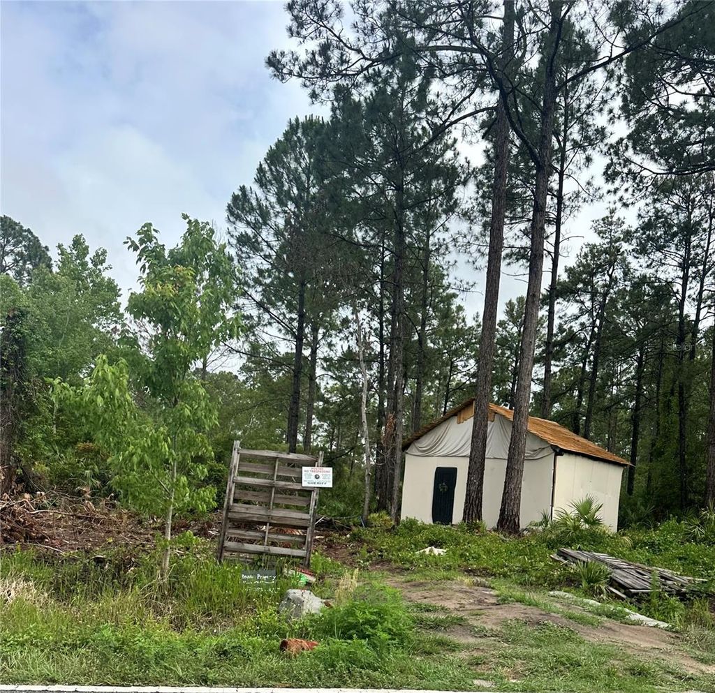 Photo of Reynolds Road, De Leon Springs, FL 32130 (MLS # V4947585)