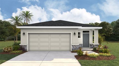 Photo of 8821 Clear View Street, Parrish, FL 34219 (MLS # A4695344)