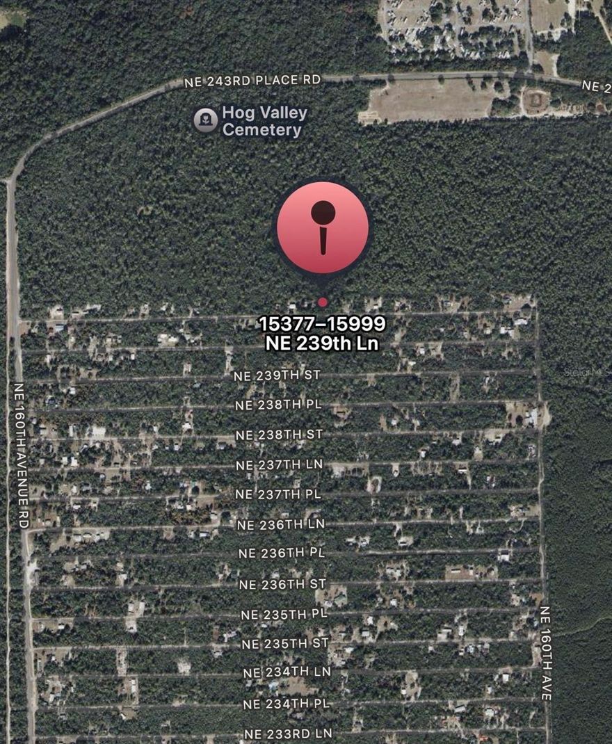 This .21 acre unimproved lot in Hog Valley offers a blank canvas for your vision. Backed up to the
Ocala National forest, most of your neighbors will be Florida's wildlife including but not limited
to deer, bear, and even sometimes monkeys! Ready to build a hunting or fishing cabin? Look no
further, the memories will be once in a lifetime.
