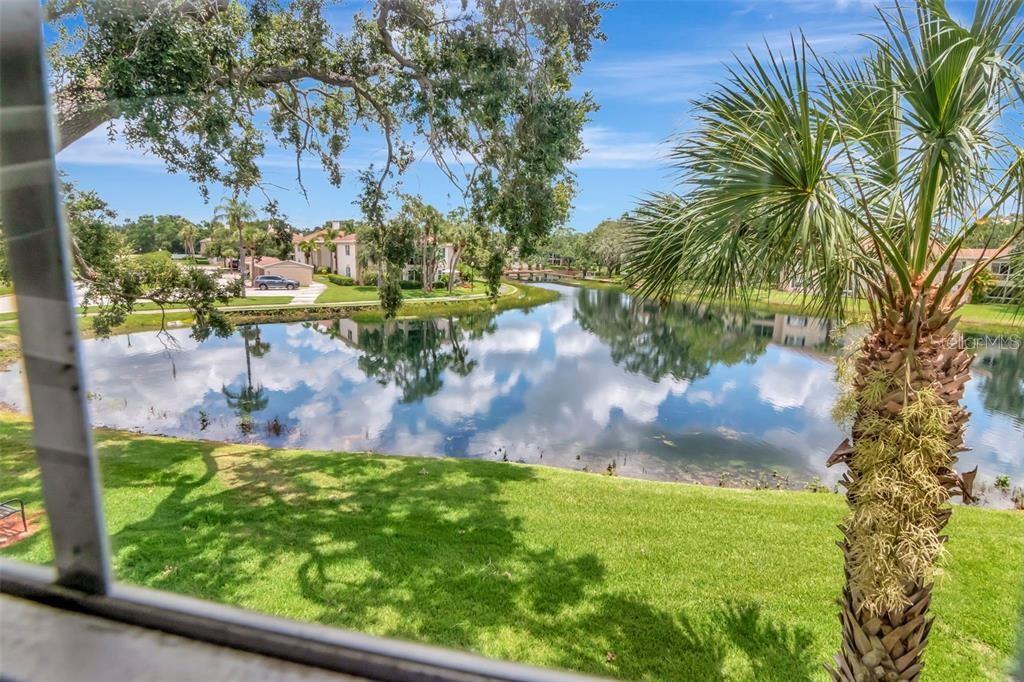 THE GRAND AT OLDE CARROLLWOOD - Residential