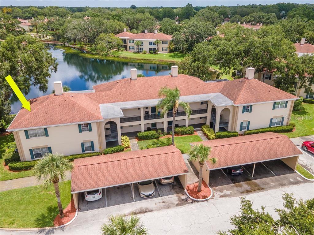 THE GRAND AT OLDE CARROLLWOOD - Residential