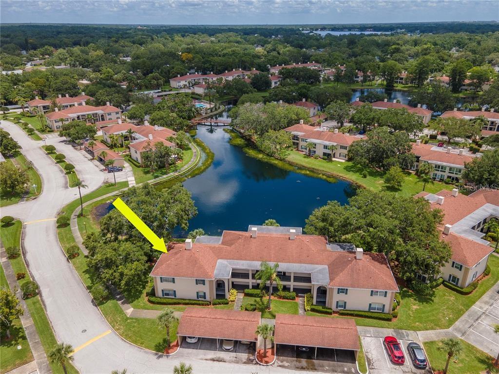 THE GRAND AT OLDE CARROLLWOOD - Residential