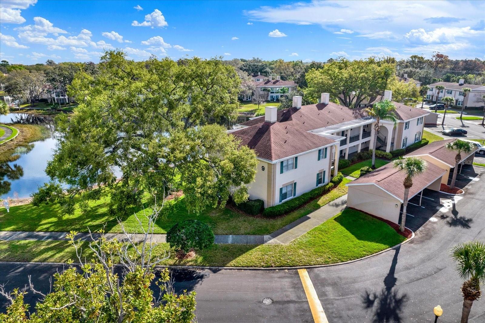 THE GRAND AT OLDE CARROLLWOOD - Residential