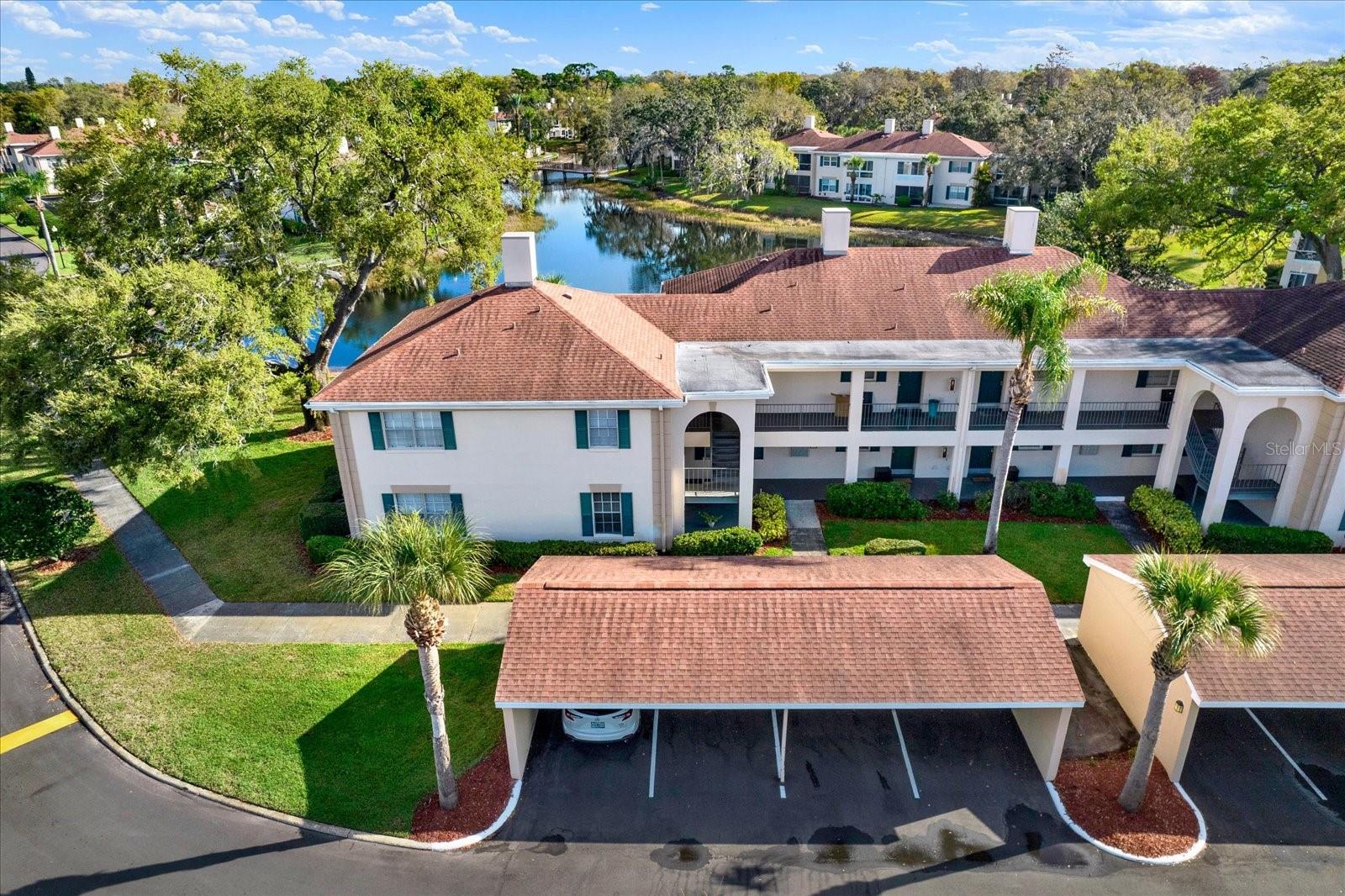 THE GRAND AT OLDE CARROLLWOOD - Residential