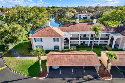 10330 CARROLLWOOD LANE 95 TAMPA FL 33618