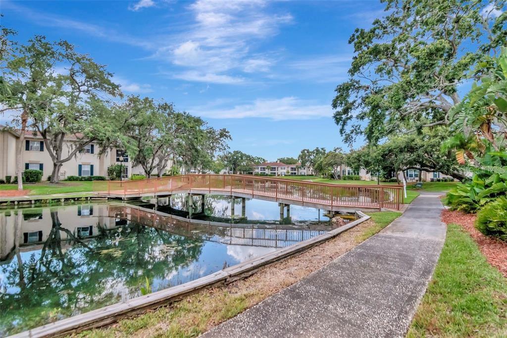 THE GRAND AT OLDE CARROLLWOOD - Residential