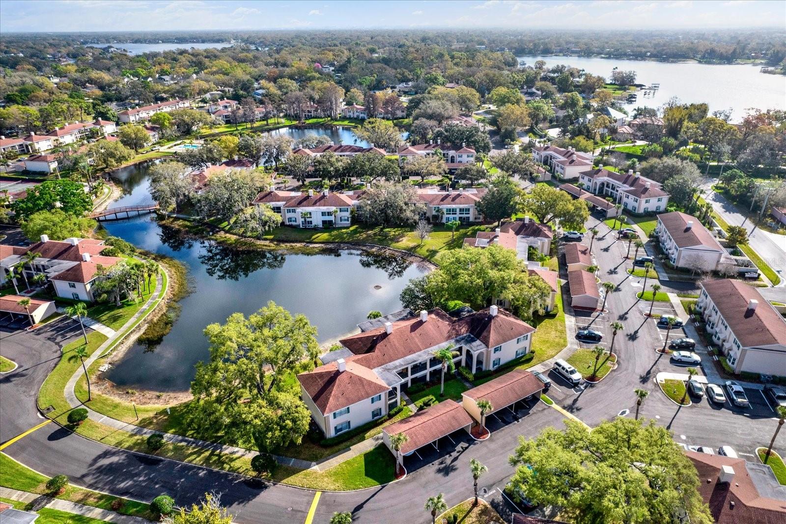 THE GRAND AT OLDE CARROLLWOOD - Residential