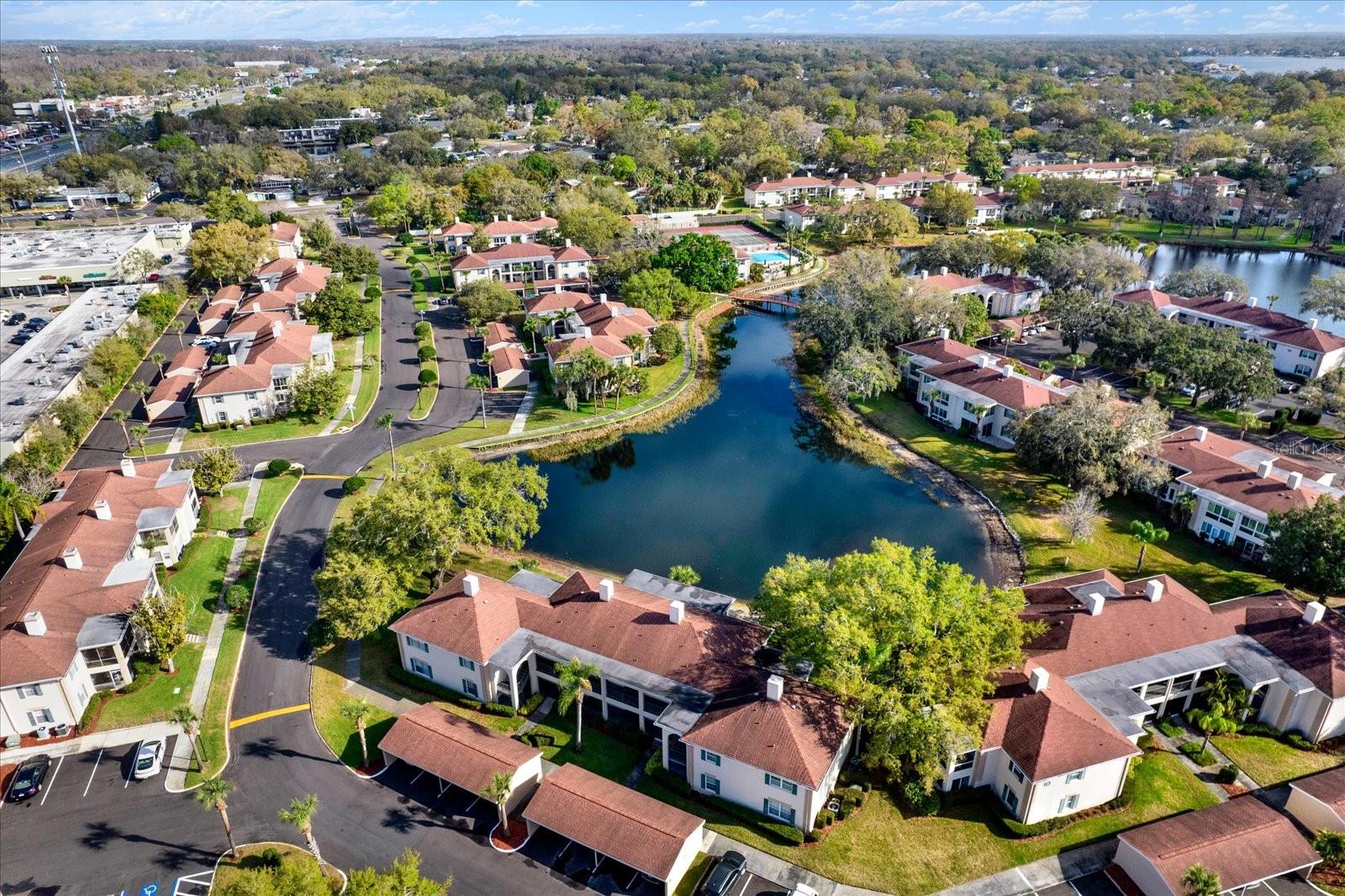 THE GRAND AT OLDE CARROLLWOOD - Residential